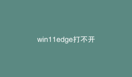 win11edge打不开