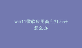win11微软应用商店打不开怎么办