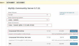Linux常用开发环境软件-mysql安装