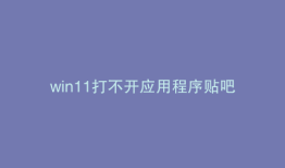win11打不开应用程序贴吧