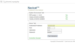 nginx+php+navicat http通道连接