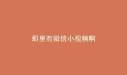那里有微信小视频啊