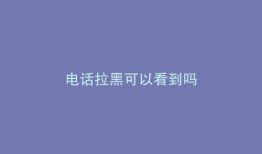 电话拉黑可以看到吗