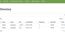Hadoop HDFS web