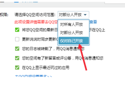 电脑上QQ空间如何关闭仅自己可见