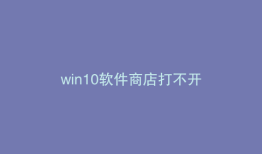 win10软件商店打不开
