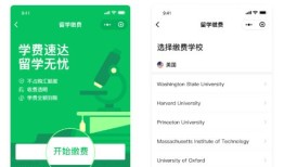 微信怎么进行留学缴费 微信进行留学缴费操作方法【步骤分享】