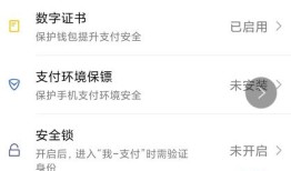 微信钱包金额隐藏保护怎么开启 微信钱包金额隐藏保护开启方法【详解】