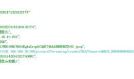 PostgreSQL Json字段作为查询条件案例