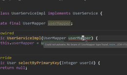 springboot无法找到mapper😵