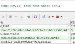 Oracle转换字符集操作到底发生了什么？