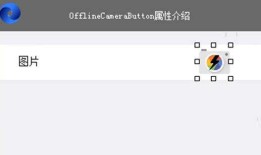 用VS2017进行移动开发（C#、VB.NET）——OfflineCameraButton控件的属性、使用方式