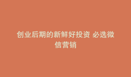 创业后期的新鲜好投资 必选微信营销