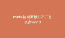 nvidia控制面板打不开怎么办win10