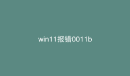 win11报错0011b