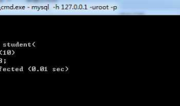MySQL数据表基本操作