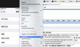 RN-ios模拟器上调出中文输入法