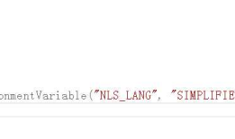 ORA-00911: invalid character SQL包含中文报错
