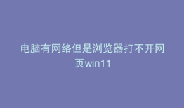 电脑有网络但是浏览器打不开网页win11