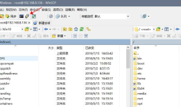 Telnet/SSH 客户端