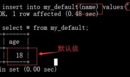 MySQL数据库8（八）列属性