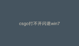 csgo打不开闪退win7