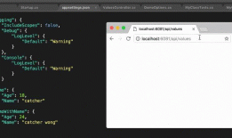 ASP.NET Core-几个Options的简单使用【转】