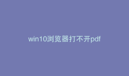 win10浏览器打不开pdf