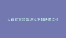 大白菜重装系统找不到映像文件
