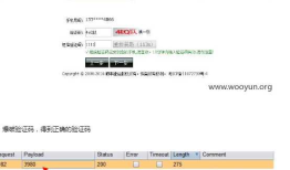 逻辑漏洞之手机验证码设计缺陷