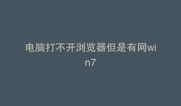电脑打不开浏览器但是有网win7