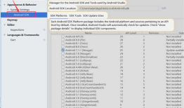 2-6 Flutter开发环境与Android开发环境设置实操（Windows）
