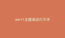win11主题商店打不开