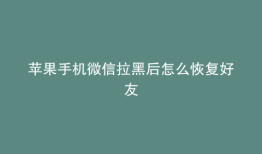 苹果手机微信拉黑后怎么恢复好友