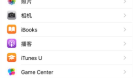 ios真机弱网测试