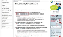 Oracle 11g 安装过程及测试方法
