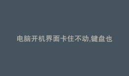 电脑开机界面卡住不动,键盘也不好使