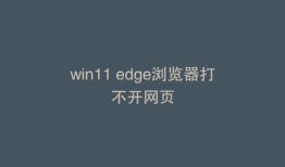 win11 edge浏览器打不开网页