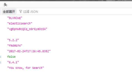 ElasticSearch（es）基于Lucene的搜索服务器