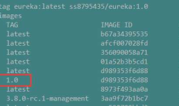 把本地docker镜像上传到Docker Hub