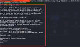 Aapache Tomcat AJP 文件包含漏洞（CVE-2020-1938）