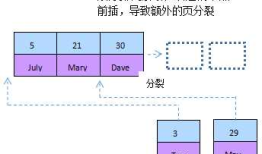 mysql性能优化之索引优化（转）