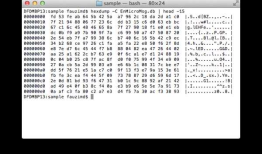 微信破解，解密？How To Decrypt WeChat EnMicroMsg.db Database?
