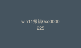win11报错0xc0000225