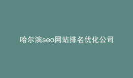哈尔滨seo网站排名优化公司哪家好