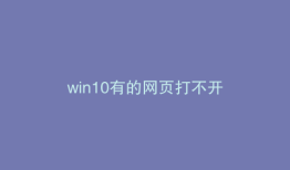 win10有的网页打不开