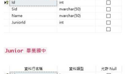Dapper多表查询时子表字段为空