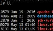 linux安装Oracle11G