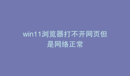 win11浏览器打不开网页但是网络正常