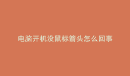 电脑开机没鼠标箭头怎么回事